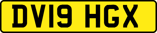 DV19HGX