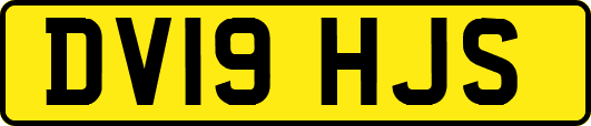 DV19HJS