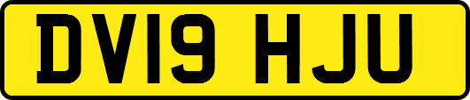 DV19HJU