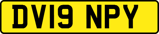 DV19NPY