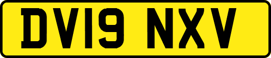 DV19NXV