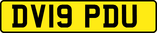 DV19PDU