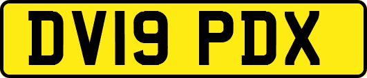 DV19PDX