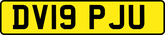 DV19PJU