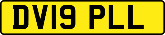 DV19PLL