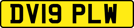 DV19PLW