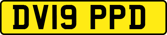 DV19PPD