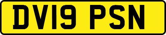 DV19PSN