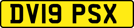 DV19PSX