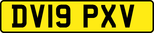 DV19PXV