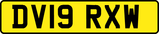 DV19RXW