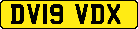 DV19VDX