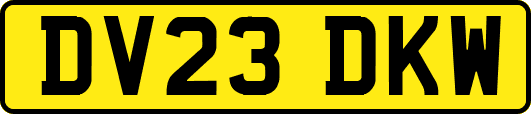 DV23DKW