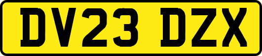 DV23DZX