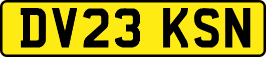 DV23KSN
