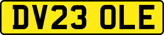 DV23OLE