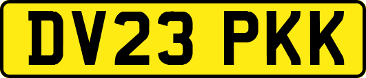 DV23PKK