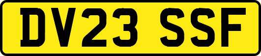 DV23SSF