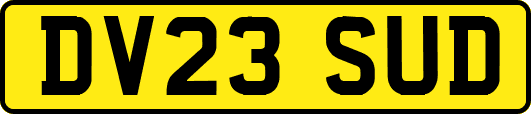 DV23SUD