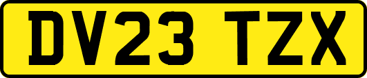 DV23TZX