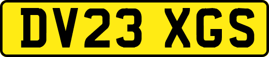 DV23XGS