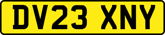 DV23XNY