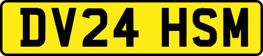 DV24HSM