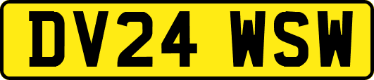DV24WSW
