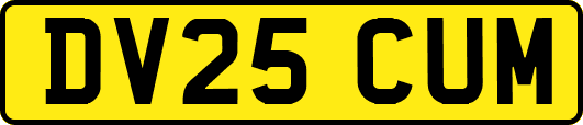 DV25CUM
