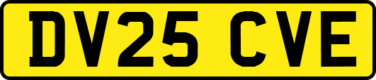 DV25CVE