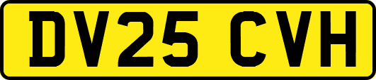 DV25CVH