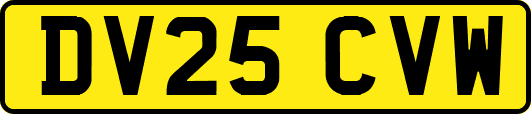 DV25CVW