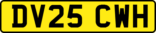 DV25CWH