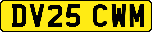 DV25CWM