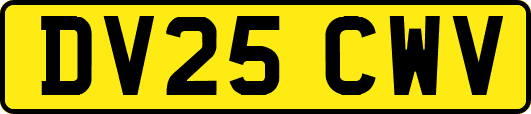 DV25CWV