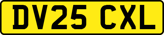 DV25CXL