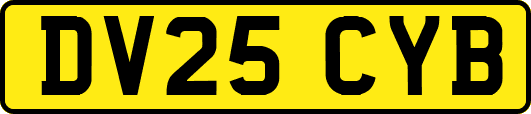 DV25CYB