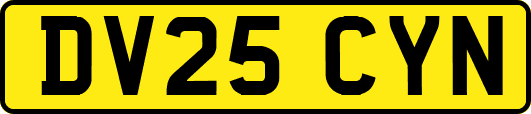 DV25CYN