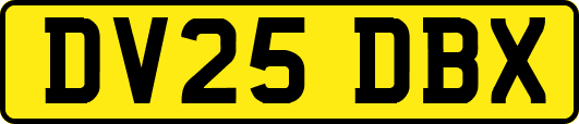 DV25DBX