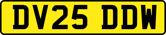 DV25DDW