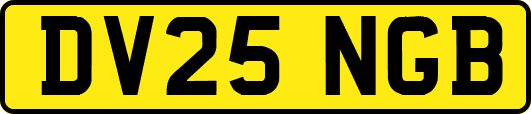 DV25NGB