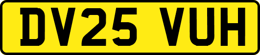 DV25VUH