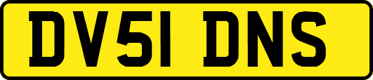 DV51DNS