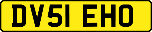 DV51EHO