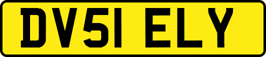 DV51ELY