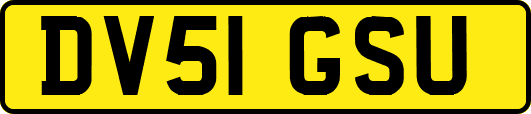 DV51GSU