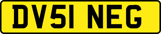 DV51NEG