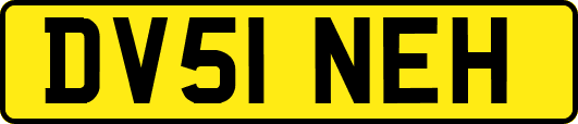 DV51NEH