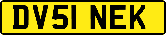 DV51NEK