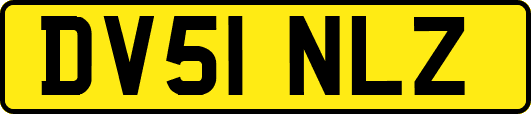DV51NLZ